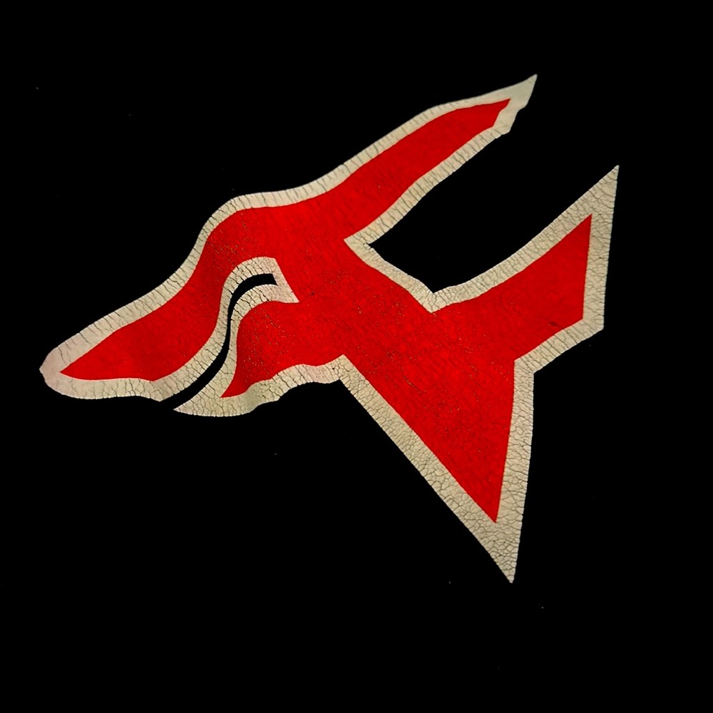 Black Champion Faze Clan Hoodie